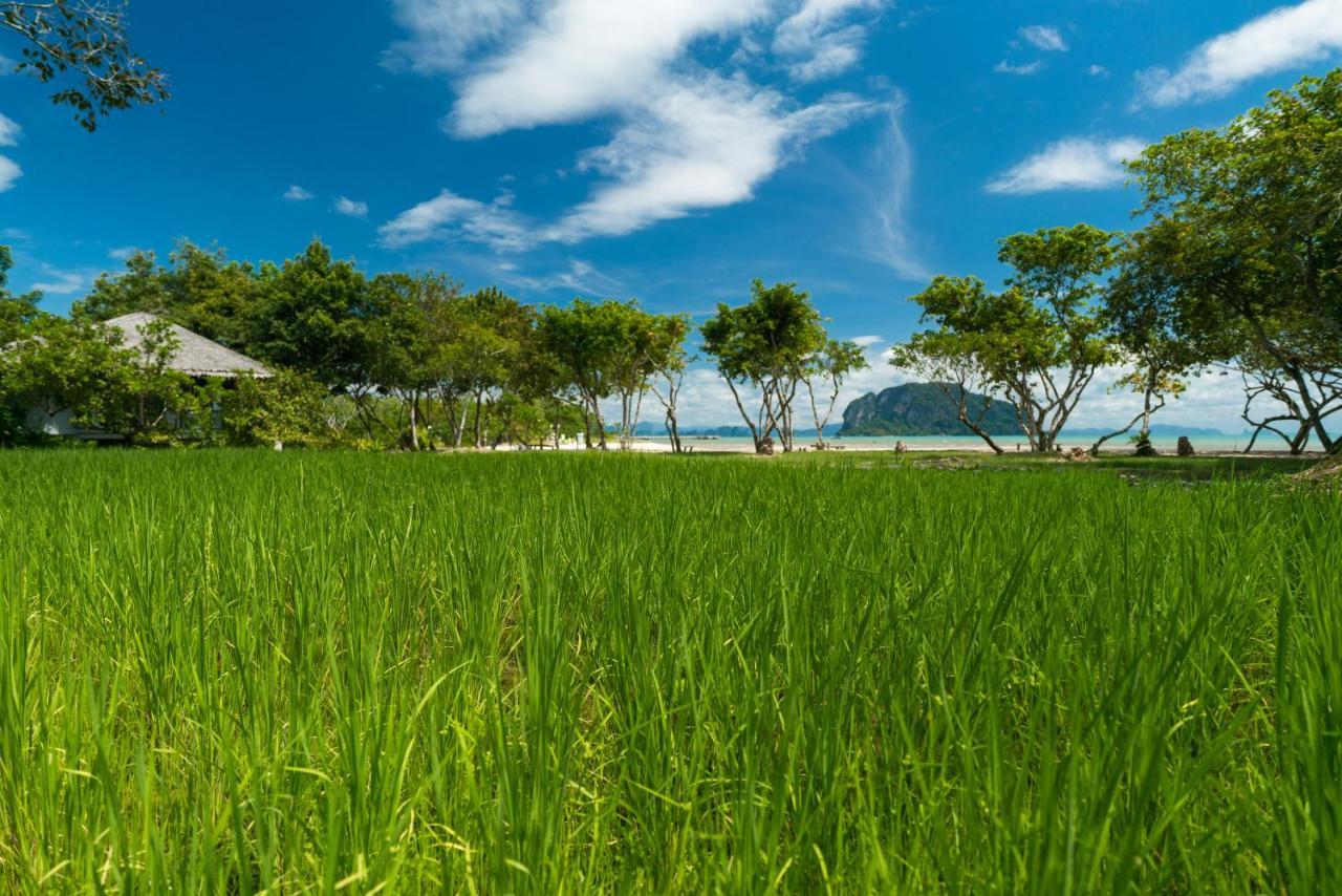 Koh Yao Yai Village Пхангнга Экстерьер фото